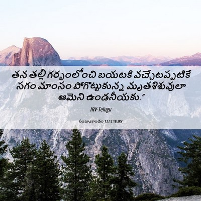 Picture 06 - సంఖ్యాకాండం 12:12 TELIRV - తన తల్లి - Bible Verse Picture