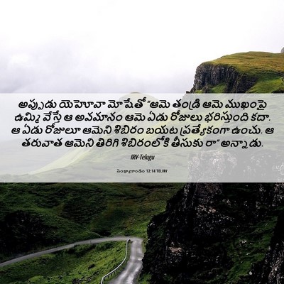 Picture 06 - సంఖ్యాకాండం 12:14 TELIRV - అప్పుడు యెహోవా - Bible Verse Picture