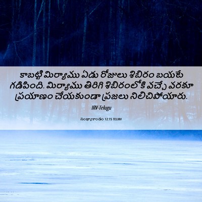 Picture 06 - సంఖ్యాకాండం 12:15 TELIRV - కాబట్టి మిర్యాము - Bible Verse Picture