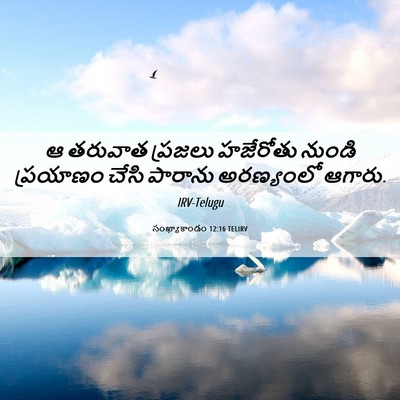Picture 06 - సంఖ్యాకాండం 12:16 TELIRV - ఆ తరువాత ప్రజలు - Bible Verse Picture