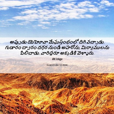 Picture 06 - సంఖ్యాకాండం 12:5 TELIRV - అప్పుడు యెహోవా - Bible Verse Picture