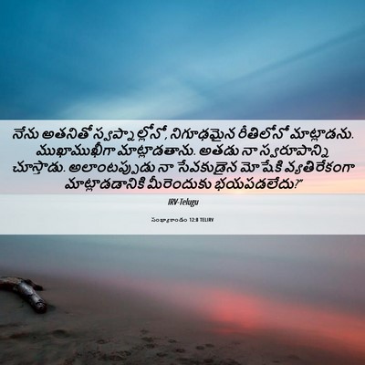 Picture 06 - సంఖ్యాకాండం 12:8 TELIRV - నేను అతనితో - Bible Verse Picture