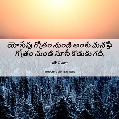 Picture 06 - సంఖ్యాకాండం 13:11 TELIRV - యోసేపు గోత్రం - Bible Verse Picture