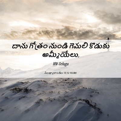 Picture 06 - సంఖ్యాకాండం 13:12 TELIRV - దాను గోత్రం నుండి - Bible Verse Picture