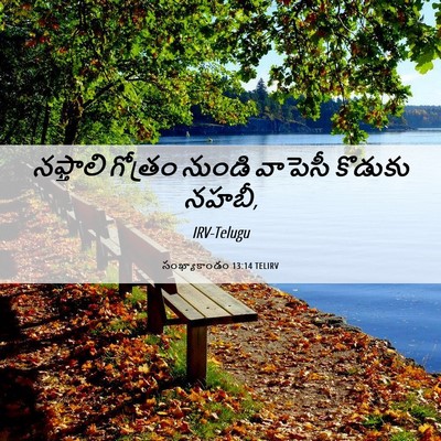 Picture 06 - సంఖ్యాకాండం 13:14 TELIRV - నఫ్తాలి గోత్రం - Bible Verse Picture