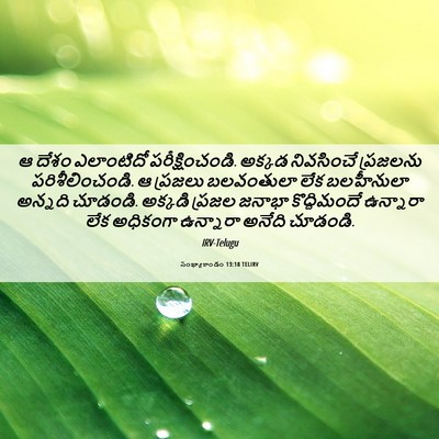 Picture 06 - సంఖ్యాకాండం 13:18 TELIRV - ఆ దేశం ఎలాంటిదో - Bible Verse Picture