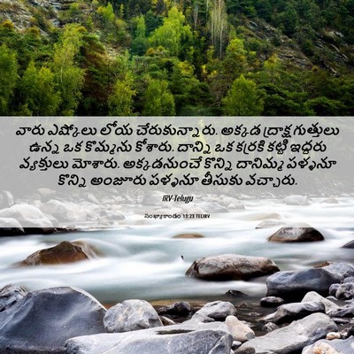 Picture 06 - సంఖ్యాకాండం 13:23 TELIRV - వారు ఎష్కోలు లోయ - Bible Verse Picture