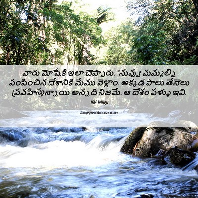 Picture 06 - సంఖ్యాకాండం 13:27 TELIRV - వారు మోషేకి ఇలా - Bible Verse Picture