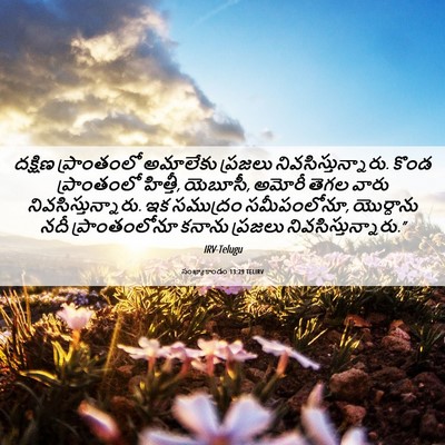 Picture 06 - సంఖ్యాకాండం 13:29 TELIRV - దక్షిణ ప్రాంతంలో - Bible Verse Picture