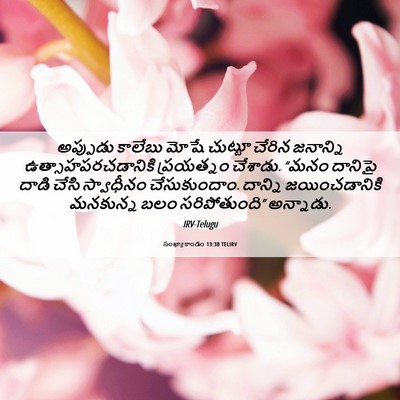 Picture 06 - సంఖ్యాకాండం 13:30 TELIRV - అప్పుడు కాలేబు - Bible Verse Picture