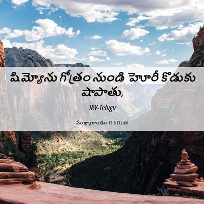 Picture 06 - సంఖ్యాకాండం 13:5 TELIRV - షిమ్యోను గోత్రం - Bible Verse Picture