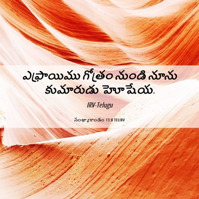 Picture 06 - సంఖ్యాకాండం 13:8 TELIRV - ఎఫ్రాయిము గోత్రం - Bible Verse Picture
