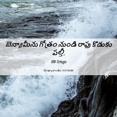 Picture 06 - సంఖ్యాకాండం 13:9 TELIRV - బెన్యామీను గోత్రం - Bible Verse Picture