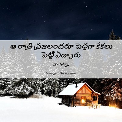 Picture 06 - సంఖ్యాకాండం 14:1 TELIRV - ఆ రాత్రి - Bible Verse Picture