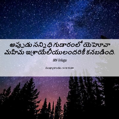 Picture 06 - సంఖ్యాకాండం 14:10 TELIRV - అప్పుడు సన్నిధి - Bible Verse Picture