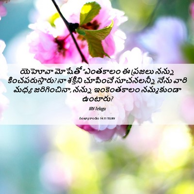 Picture 06 - సంఖ్యాకాండం 14:11 TELIRV - యెహోవా మోషేతో - Bible Verse Picture