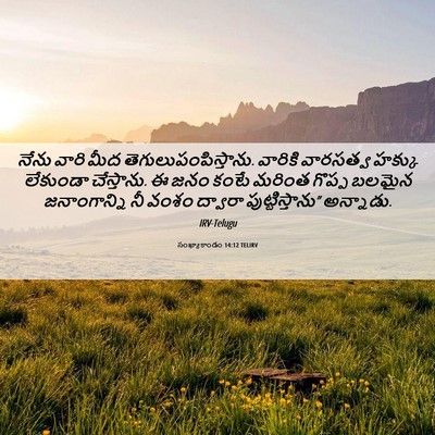 Picture 06 - సంఖ్యాకాండం 14:12 TELIRV - నేను వారి మీద - Bible Verse Picture
