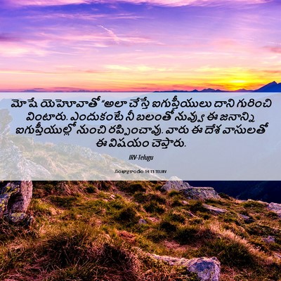 Picture 06 - సంఖ్యాకాండం 14:13 TELIRV - మోషే యెహోవాతో - Bible Verse Picture