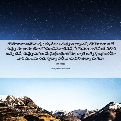 Picture 06 - సంఖ్యాకాండం 14:14 TELIRV - యెహోవా అనే నువ్వు - Bible Verse Picture