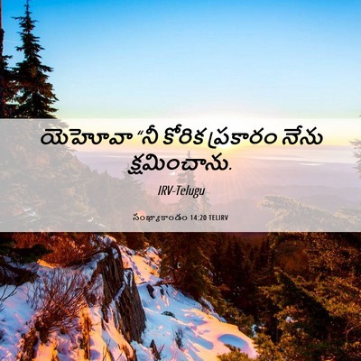 Picture 06 - సంఖ్యాకాండం 14:20 TELIRV - యెహోవా “నీ కోరిక - Bible Verse Picture