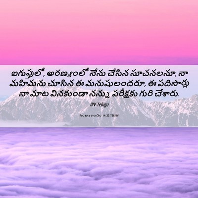 Picture 06 - సంఖ్యాకాండం 14:22 TELIRV - ఐగుప్తులో, - Bible Verse Picture