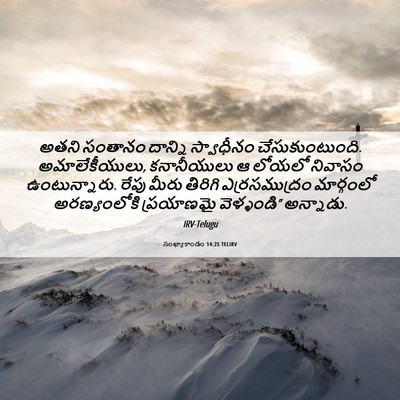 Picture 06 - సంఖ్యాకాండం 14:25 TELIRV - అతని సంతానం - Bible Verse Picture