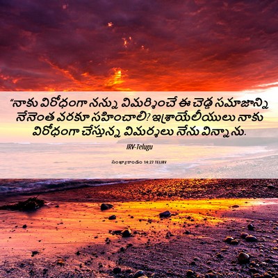 Picture 06 - సంఖ్యాకాండం 14:27 TELIRV - “నాకు విరోధంగా - Bible Verse Picture