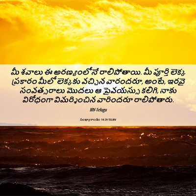 Picture 06 - సంఖ్యాకాండం 14:29 TELIRV - మీ శవాలు ఈ - Bible Verse Picture