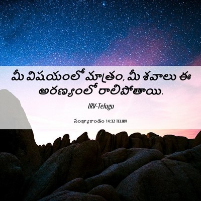 Picture 06 - సంఖ్యాకాండం 14:32 TELIRV - మీ విషయంలో మాత్రం, - Bible Verse Picture
