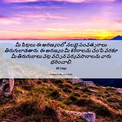Picture 06 - సంఖ్యాకాండం 14:33 TELIRV - మీ పిల్లలు ఈ - Bible Verse Picture