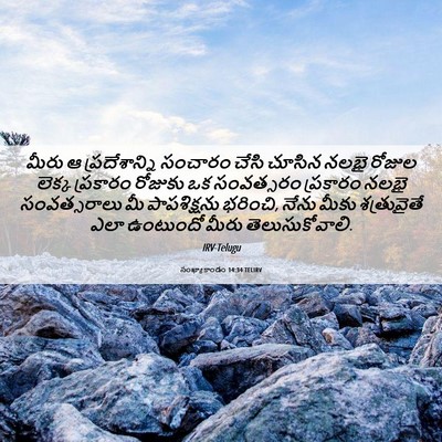 Picture 06 - సంఖ్యాకాండం 14:34 TELIRV - మీరు ఆ - Bible Verse Picture