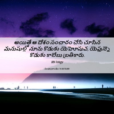 Picture 06 - సంఖ్యాకాండం 14:38 TELIRV - అయితే ఆ దేశం - Bible Verse Picture