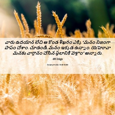 Picture 06 - సంఖ్యాకాండం 14:40 TELIRV - వారు ఉదయాన లేచి ఆ - Bible Verse Picture