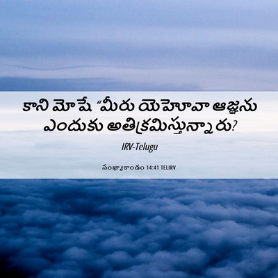 Picture 06 - సంఖ్యాకాండం 14:41 TELIRV - కాని మోషే “మీరు - Bible Verse Picture