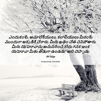 Picture 06 - సంఖ్యాకాండం 14:43 TELIRV - ఎందుకంటే, - Bible Verse Picture