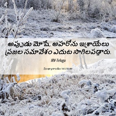 Picture 06 - సంఖ్యాకాండం 14:5 TELIRV - అప్పుడు మోషే, - Bible Verse Picture