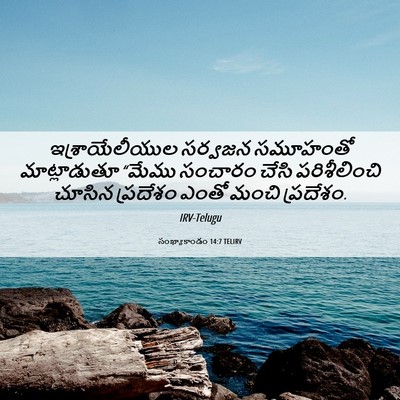 Picture 06 - సంఖ్యాకాండం 14:7 TELIRV - ఇశ్రాయేలీయుల - Bible Verse Picture
