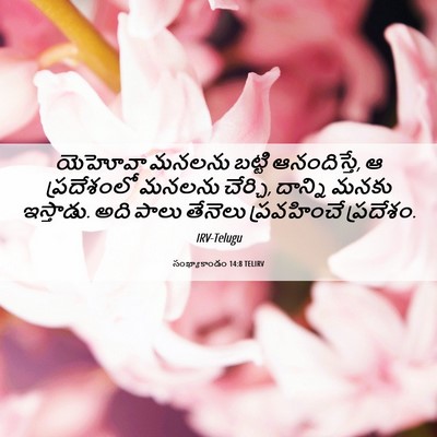 Picture 06 - సంఖ్యాకాండం 14:8 TELIRV - యెహోవా మనలను - Bible Verse Picture