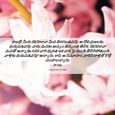 Picture 06 - సంఖ్యాకాండం 14:9 TELIRV - కాబట్టి, మీరు - Bible Verse Picture