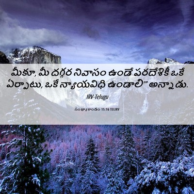 Picture 06 - సంఖ్యాకాండం 15:16 TELIRV - మీకూ, మీ దగ్గర - Bible Verse Picture