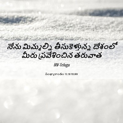 Picture 06 - సంఖ్యాకాండం 15:18 TELIRV - నేను మిమ్మల్ని - Bible Verse Picture