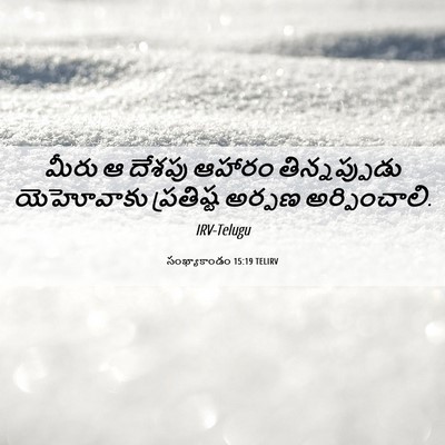 Picture 06 - సంఖ్యాకాండం 15:19 TELIRV - మీరు ఆ దేశపు ఆహారం - Bible Verse Picture