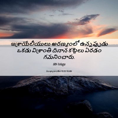 Picture 06 - సంఖ్యాకాండం 15:32 TELIRV - ఇశ్రాయేలీయులు - Bible Verse Picture