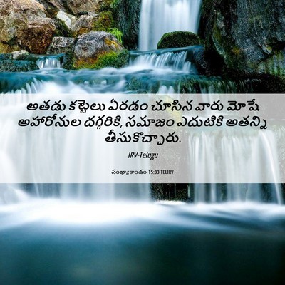 Picture 06 - సంఖ్యాకాండం 15:33 TELIRV - అతడు కట్టెలు ఏరడం - Bible Verse Picture