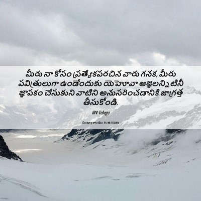 Picture 06 - సంఖ్యాకాండం 15:40 TELIRV - మీరు నా కోసం - Bible Verse Picture