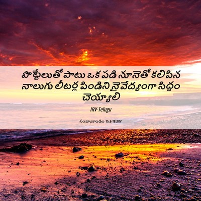 Picture 06 - సంఖ్యాకాండం 15:6 TELIRV - పొట్టేలుతో పాటు - Bible Verse Picture