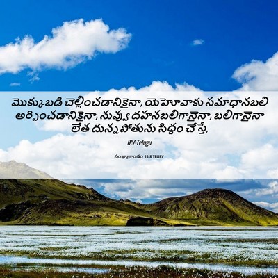 Picture 06 - సంఖ్యాకాండం 15:8 TELIRV - మొక్కుబడి - Bible Verse Picture