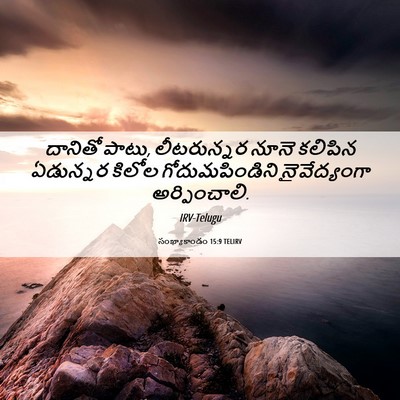 Picture 06 - సంఖ్యాకాండం 15:9 TELIRV - దానితో పాటు, - Bible Verse Picture