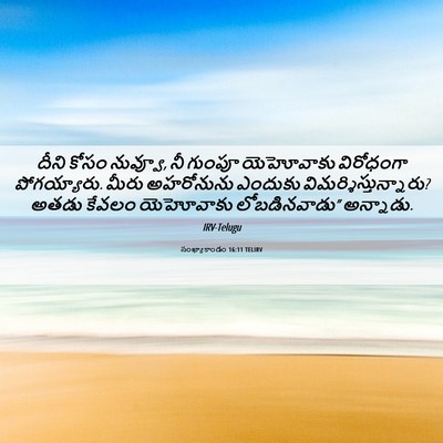 Picture 06 - సంఖ్యాకాండం 16:11 TELIRV - దీని కోసం నువ్వూ, - Bible Verse Picture