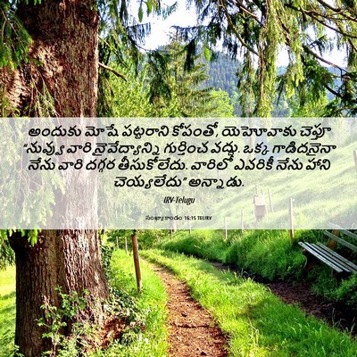 Picture 06 - సంఖ్యాకాండం 16:15 TELIRV - అందుకు మోషే - Bible Verse Picture